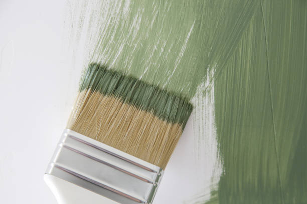 Best Mold Damage Restoration  in Gladwin, MI